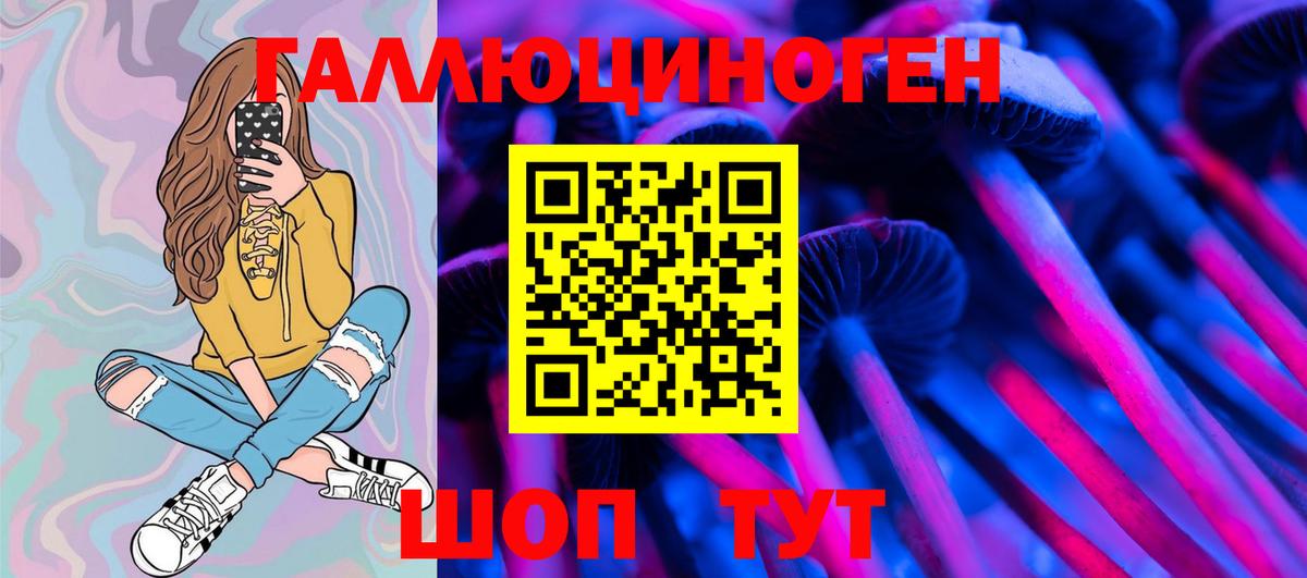 Галлюциногенные грибы Psilocybe  Вход с VPN  Галлюциногенные грибы Psilocybe  Елизово 