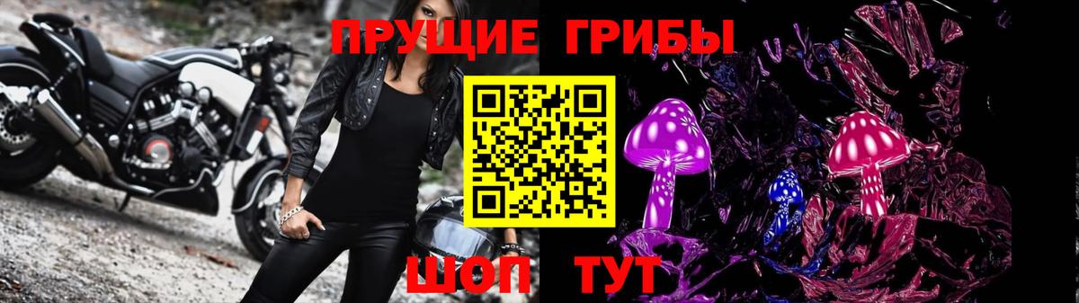 Псилоцибиновые грибы мицелий Елизово