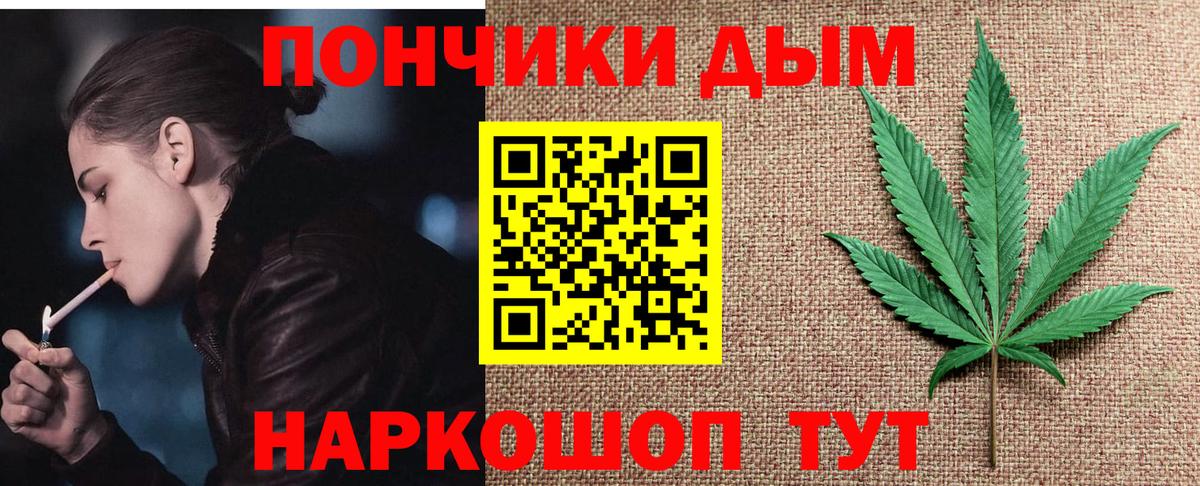Бошки марихуана сатива Елизово
