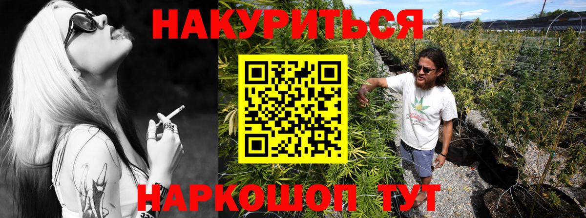 Канабис планчик  Бошки Шишки планчик  Елизово  Вход с VPN  Шишки марихуана конопля  Бошки марихуана сатива 